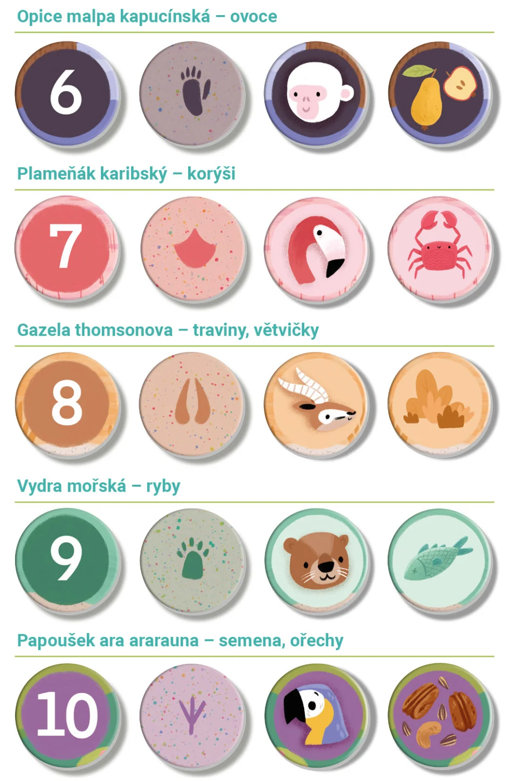 Véééliké puzzle loto - Výlet do ZOO8